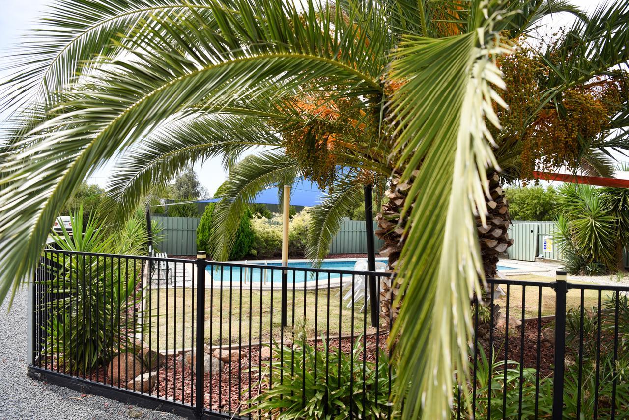 Culcairn Motor Inn מראה חיצוני תמונה